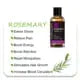 MAYJAM 10ml 30ml 100ml Essential Oils For Humidifier Diffuser