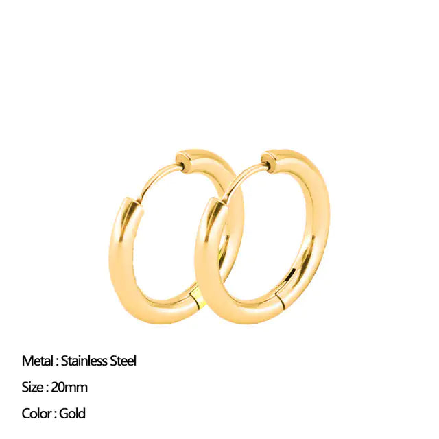 Classic Stainless Steel Earrings