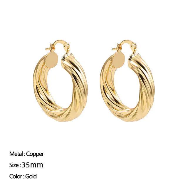 Classic Stainless Steel Earrings