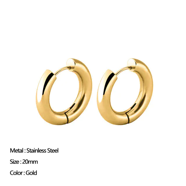 Classic Stainless Steel Earrings