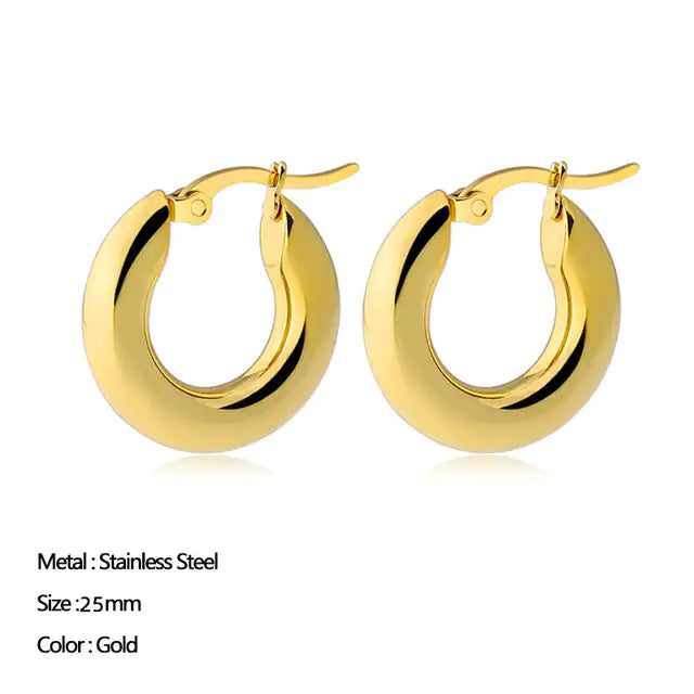 Classic Stainless Steel Earrings
