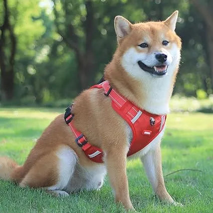 Reflective Pet Harness