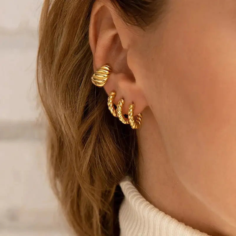 Classic Stainless Steel Earrings