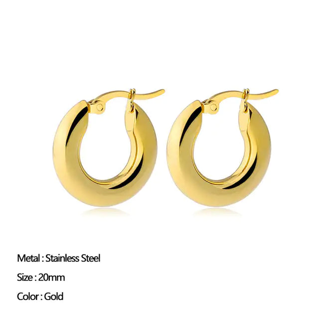Classic Stainless Steel Earrings