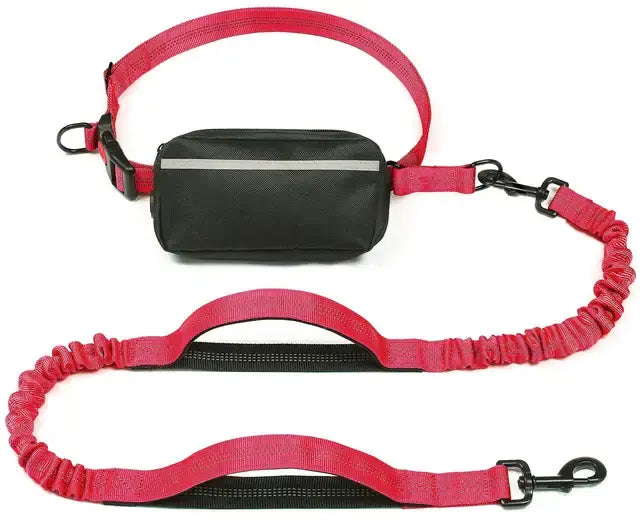 Canine Waist Tether and Fanny Pack