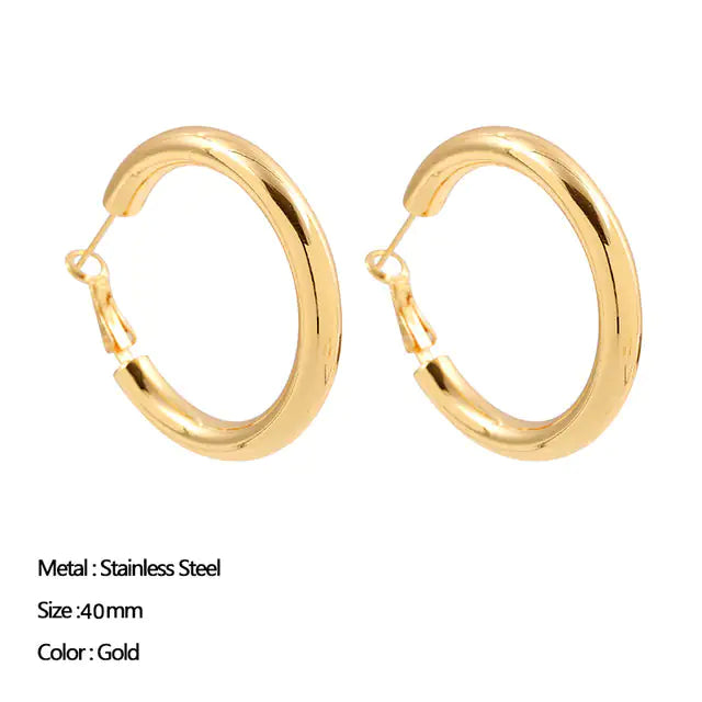 Classic Stainless Steel Earrings