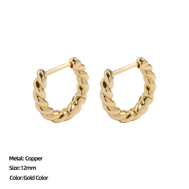 Classic Stainless Steel Earrings