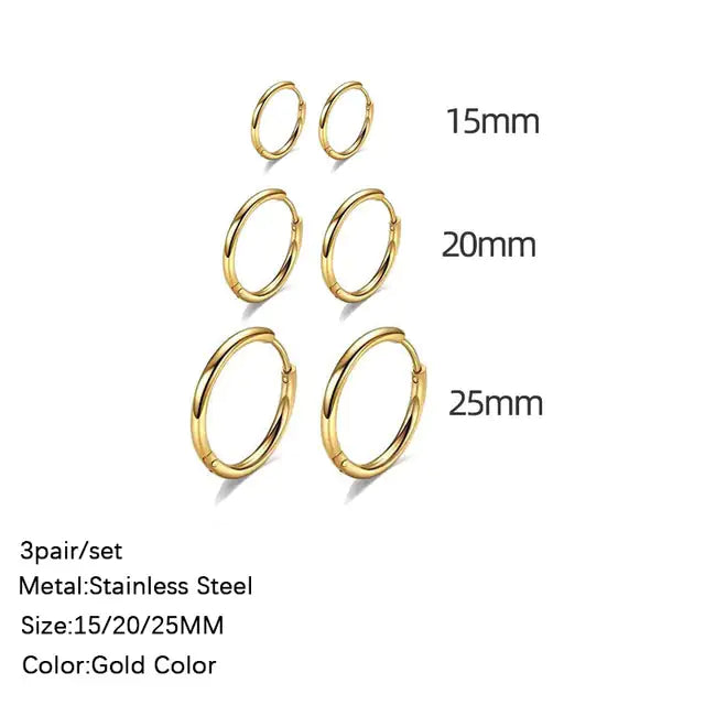 Classic Stainless Steel Earrings