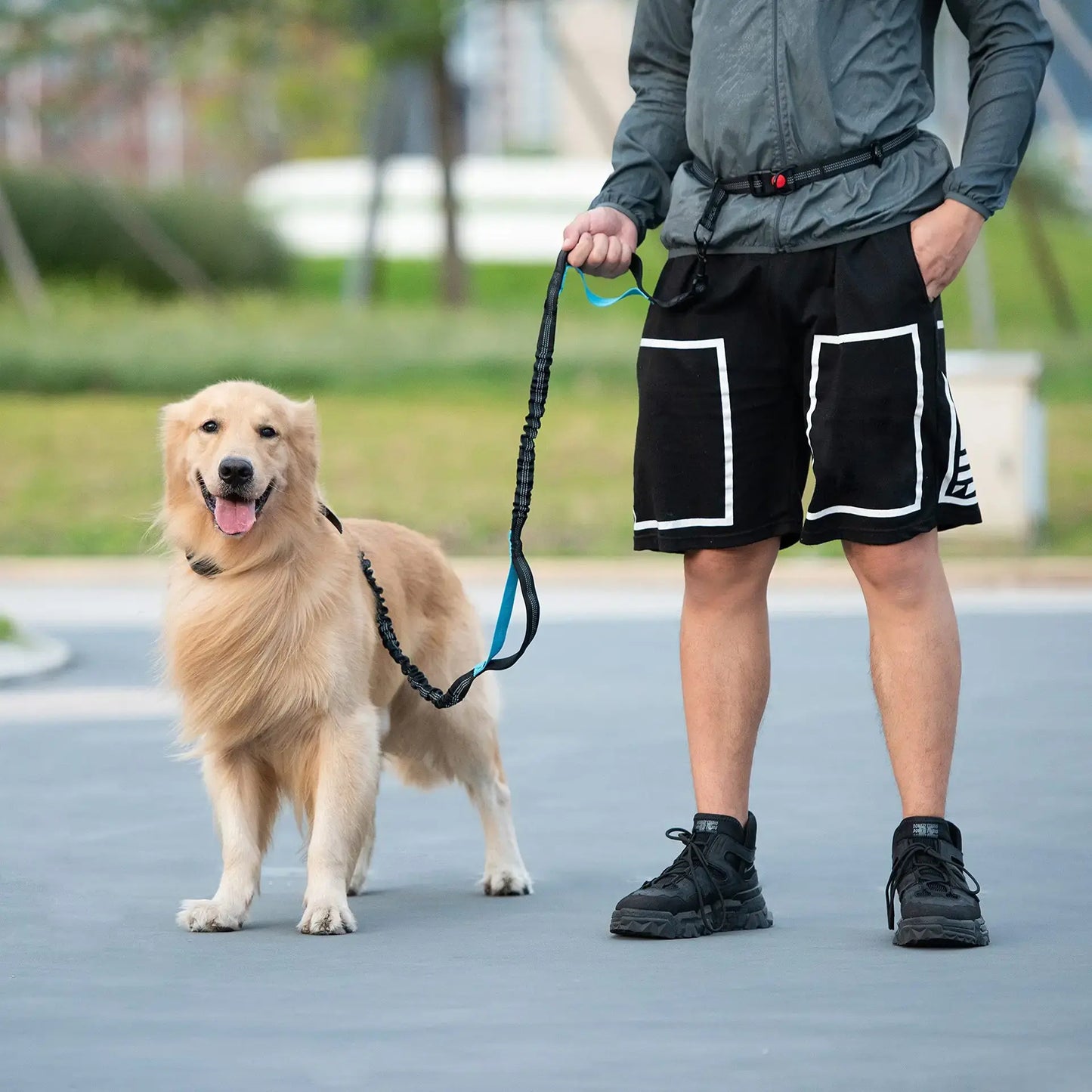 Canine Waist Tether and Fanny Pack