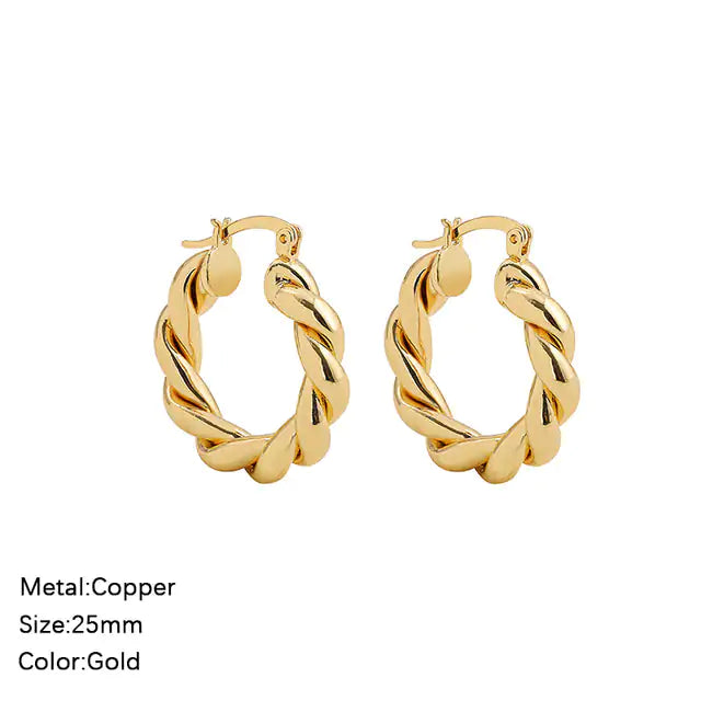 Classic Stainless Steel Earrings