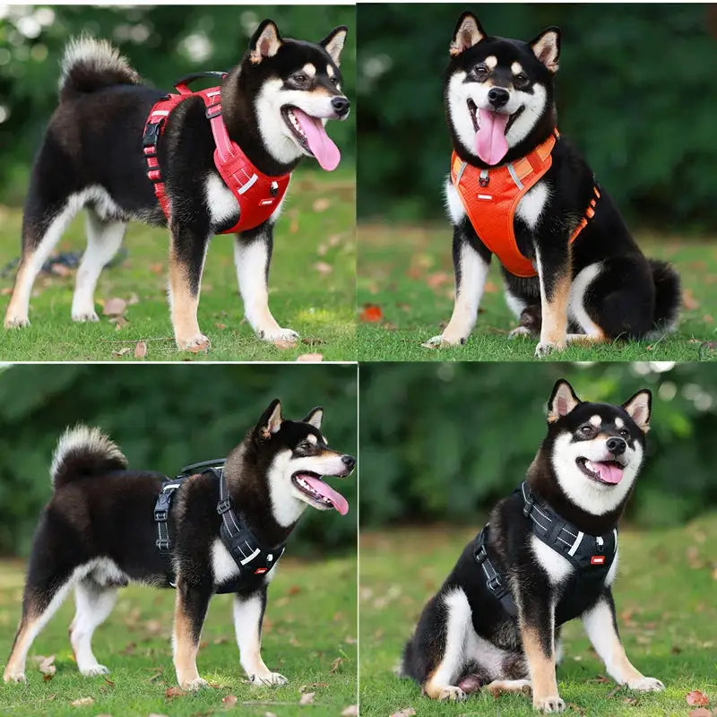 Reflective Pet Harness